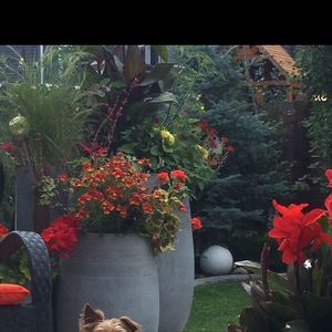 Meet your Posher, Crystal